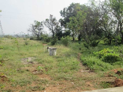 Agricultural Land 1 Acre for Sale in Sohna, Gurgaon