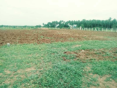 Industrial Land 1 Acre for Sale in Kalampalayam, Coimbatore