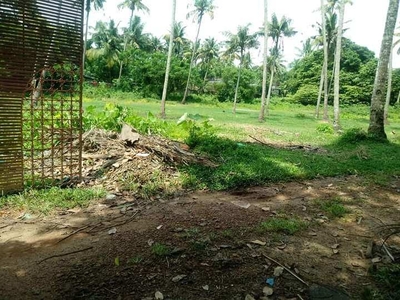 Residential Plot 1 Acre for Sale in North Paravoor, Ernakulam