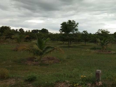 Residential Plot 1 Acre for Sale in