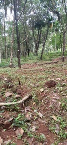 Residential Plot 1 Acre for Sale in Parappa, Kasaragod