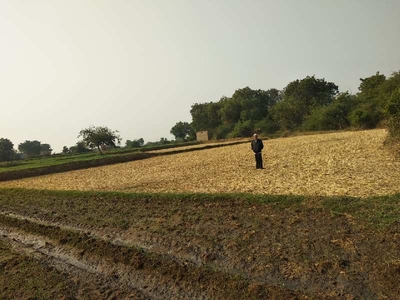 Agricultural Land 1 Bigha for Sale in Navagam Ghed, Jamnagar
