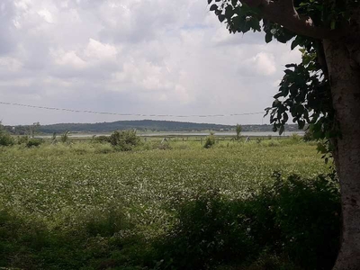 1 RK Farm House 5 Acre for Sale in Ratibad, Bhopal