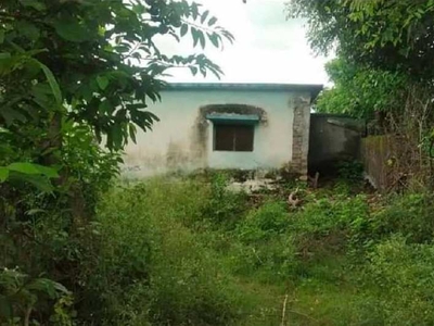 1 RK Farm House 622 Sq. Yards for Sale in Haridwar Bypass, Dehradun