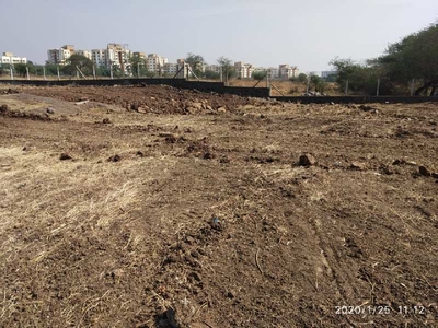 Agricultural Land 10 Acre for Sale in Mavel, Pune