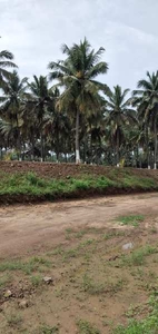Agricultural Land 10 Acre for Sale in Vadakkipalayam, Coimbatore