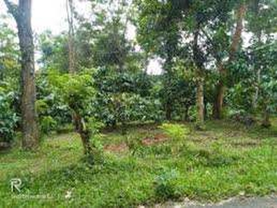Residential Plot 10 Cent for Sale in Sulthan Bathery, Wayanad