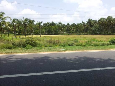 Commercial Land 100 Acre for Sale in Kozhinjampara, Palakkad