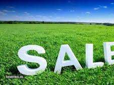 Industrial Land 100 Acre for Sale in