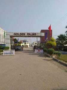 Ubber Golden Palm City