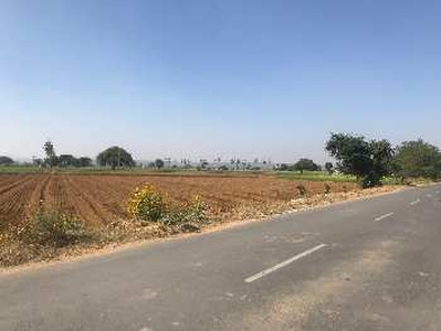 Agricultural Land 100 Sq.ft. for Sale in Tosham, Bhiwani