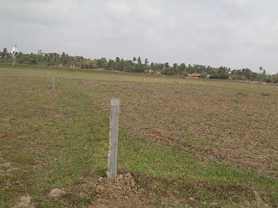 Commercial Land 1000 Sq. Meter for Sale in Paradip, Jagatsinghapur