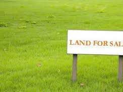 Industrial Land 1000 Sq. Meter for Sale in Ecotech XI, Greater Noida