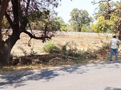 Commercial Land 1000 Sq.ft. for Sale in Unchehara, Satna