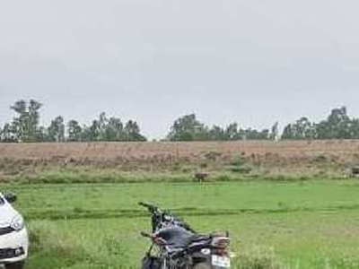 Residential Plot -1000 Sq.ft. for Sale in NH 56B, Lucknow