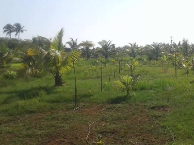 Agricultural Land 10000 Sq.ft. for Sale in