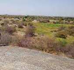 Agricultural Land 11 Bigha for Sale in Sumerpur Pali
