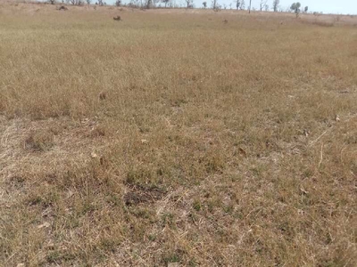 Agricultural Land 12 Acre for Sale in Mohpa, Nagpur