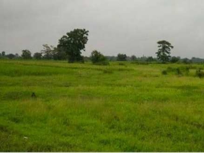 Agricultural Land 12 Acre for Sale in Rewari Rural