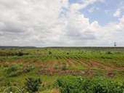Agricultural Land 120 Acre for Sale in