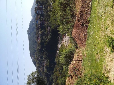 Residential Plot 120 Marla for Sale in Lohna, Palampur