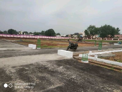 Residential Plot 1200 Sq.ft. for Sale in Chinnalapatti, Dindigul