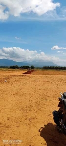 Residential Plot 1200 Sq.ft. for Sale in Sulur, Coimbatore
