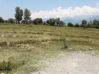 Agricultural Land 12100 Sq. Yards for Sale in Shahpur, Kangra