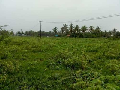 Residential Plot 1250 Sq.ft. for Sale in Jhalwa, Allahabad