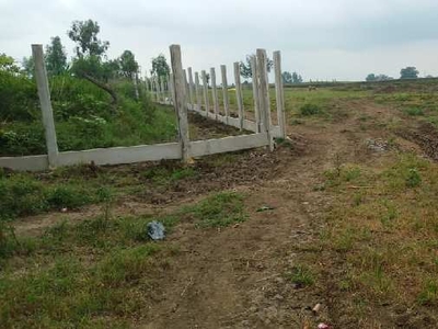 Residential Plot 13 Ares for Sale in Amarpatan, Satna