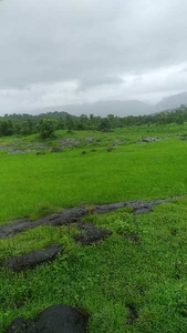 Agricultural Land 130 Acre for Sale in Sudhagad, Raigad