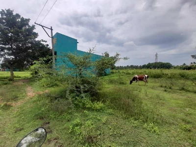 Agricultural Land 1350 Sq.ft. for Sale in Thendral Nagar, Sathuvachari, Vellore