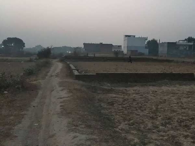 Agricultural Land 1360 Sq.ft. for Sale in Ramana, Varanasi