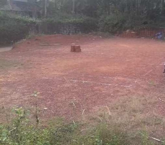 Residential Plot 14 Cent for Sale in