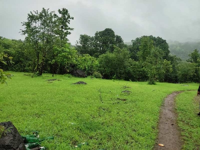 Agricultural Land 15 Acre for Sale in Poladpur, Raigad