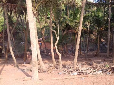 Industrial Land 1500 Sq. Meter for Sale in Beach Property Goa