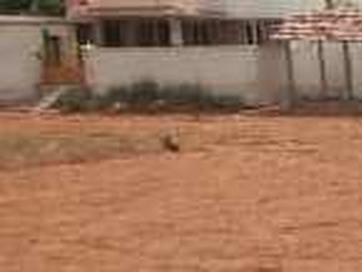 Residential Plot 1500 Sq.ft. for Sale in Agaram, Dindigul