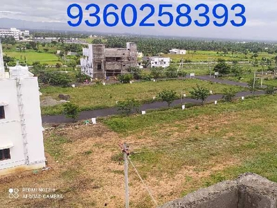 Residential Plot 1500 Sq.ft. for Sale in Anbu Nagar, Namakkal