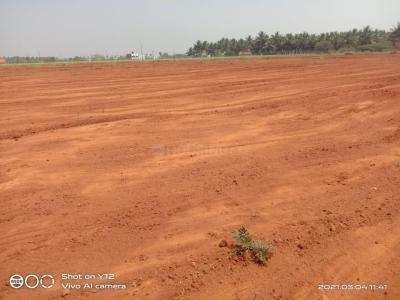 Residential Plot 1500 Sq.ft. for Sale in RM Colony, Dindigul