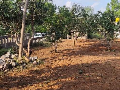15000 Sq.ft. Residential Plot for Sale in Nelamangala, Bangalore