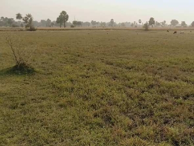 Agricultural Land 16988 Sq.ft. for Sale in Rafiganj, Aurangabad