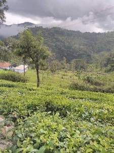 Commercial Land 18 Ares for Sale in Pethuparai, Kodaikanal