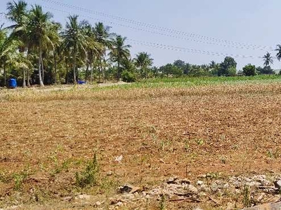Agricultural Land 2 Acre for Sale in Periyapatti, Tirupur