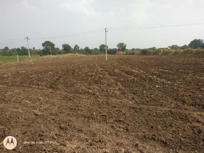 Agricultural Land 2 Acre for Sale in Shankarpally, Rangareddy
