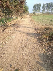Agricultural Land 2 Acre for Sale in Village Gharothi Rohtak
