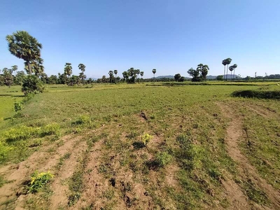 Agricultural Land 2 Acre for Sale in Vizianagaram Cantonment