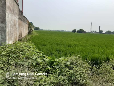 Industrial Land 2 Acre for Sale in Bhabua, Kaimur