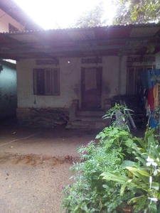 2 BHK House 6 Cent for Sale in Mavelikkara, Alappuzha