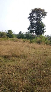 Agricultural Land 20 Acre for Sale in Mumbai Goa Highway