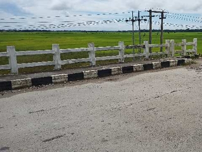 Agricultural Land 20 Bigha for Sale in Silapathar, Dhemaji